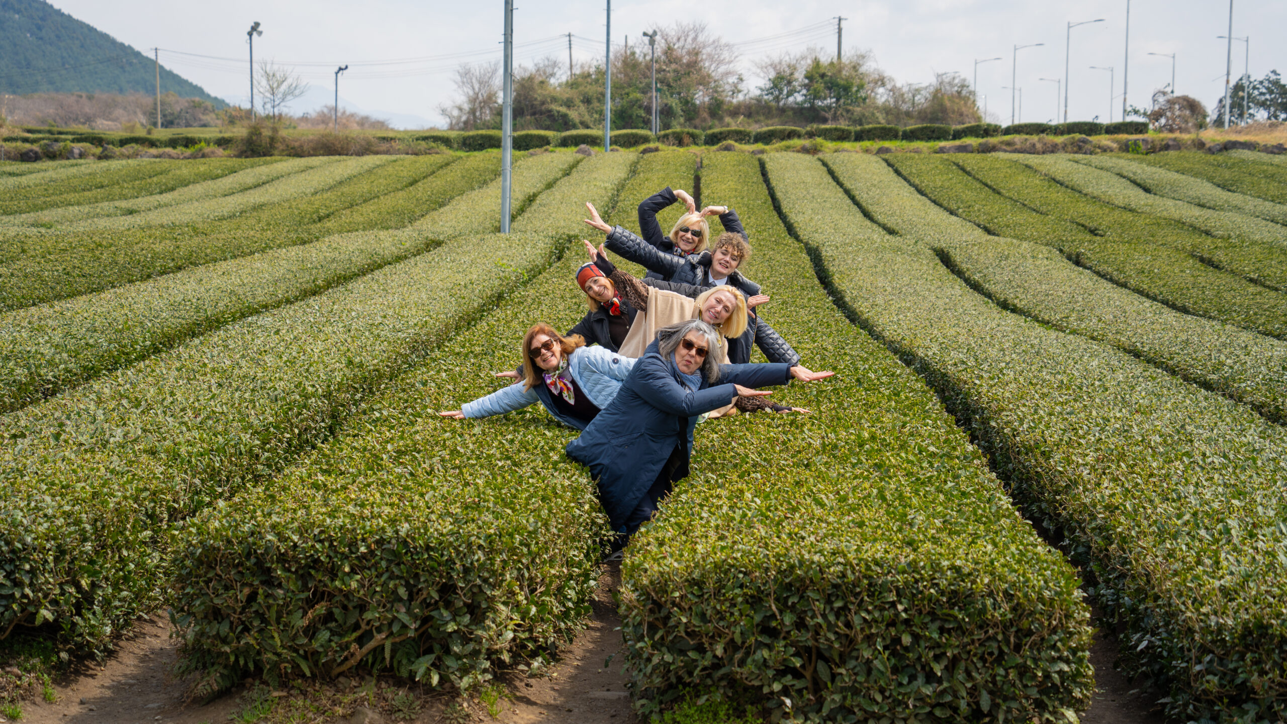 Viajeras de Focus on Women en un campo de té